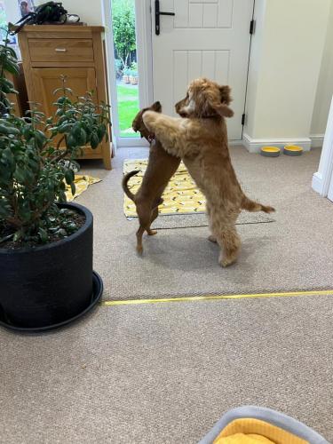 Lennie and Freddie dancing in the office